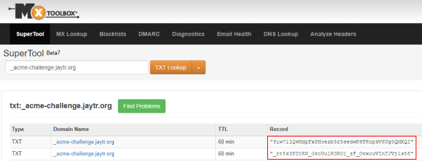 TXT 레코드 체크